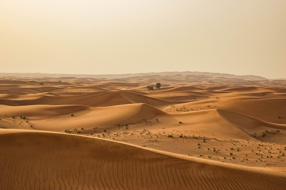 the-effects-of-dust-storms-on-economic-development-veranstaltungen